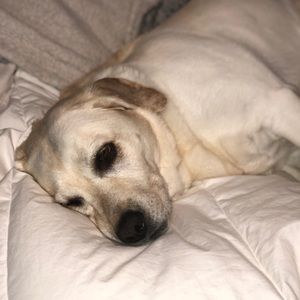 Meet your Posher, Tara